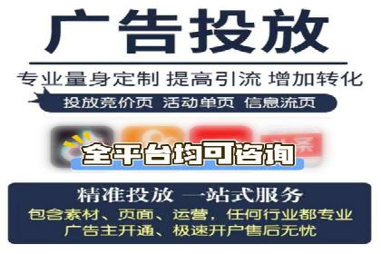 如何在有限预算下最大化百度推广费用的效果——案例解读